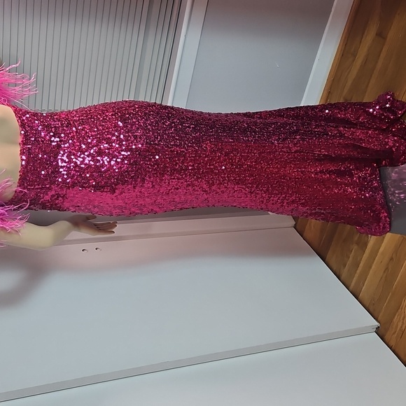 Pink Sequin Gown with Feather Details - Picture 8 of 13